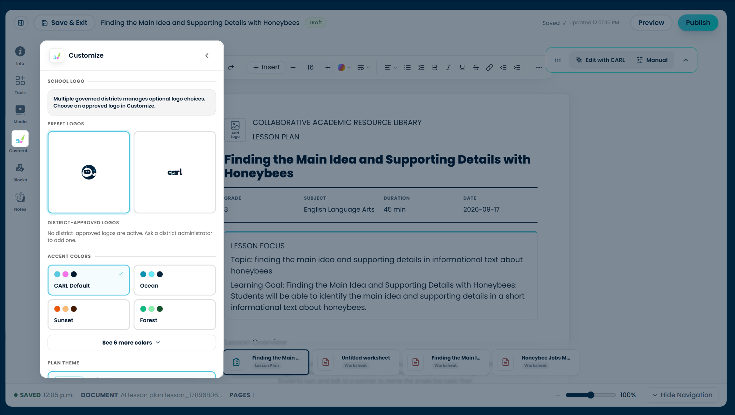 The Customize panel with logo, accent colour, and theme options